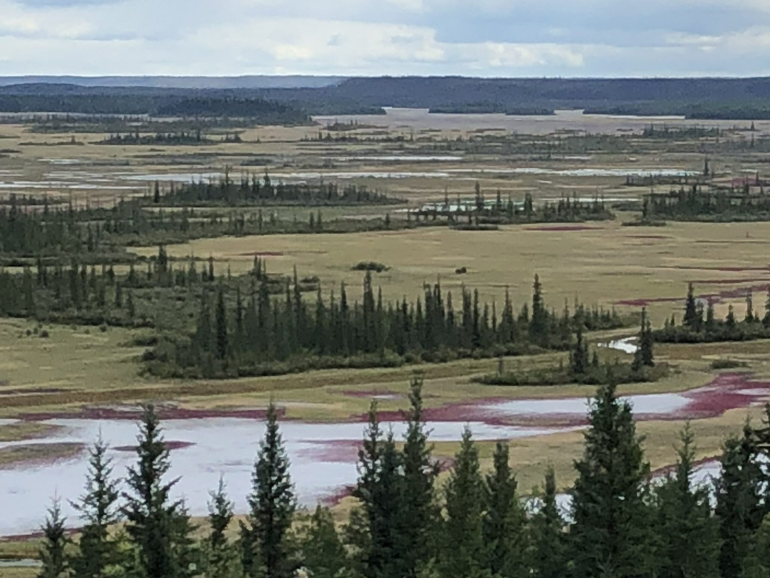 Traditional Land Use Study