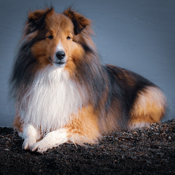 Benson
